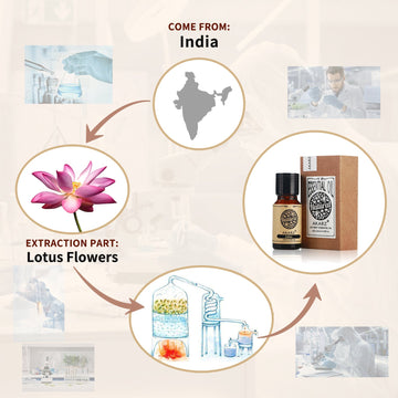 Lotus Essential Oil AKARZ Natural And Pure (30ML,100ML )